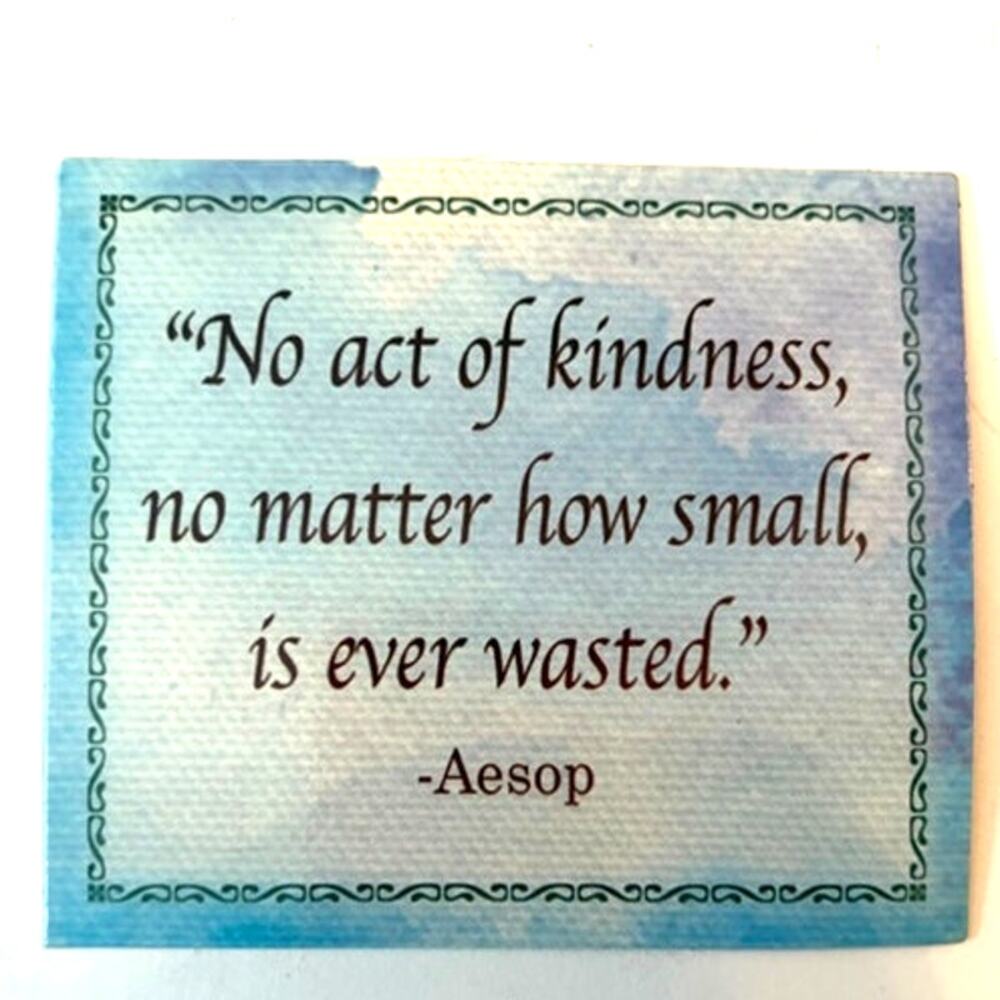 Inspirational Fridge Magnet Aesop Kindness Quote Canvas Teal Border 3.5x3